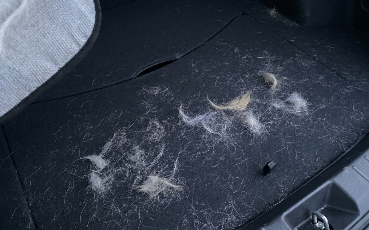 Adiós al pelo en el auto