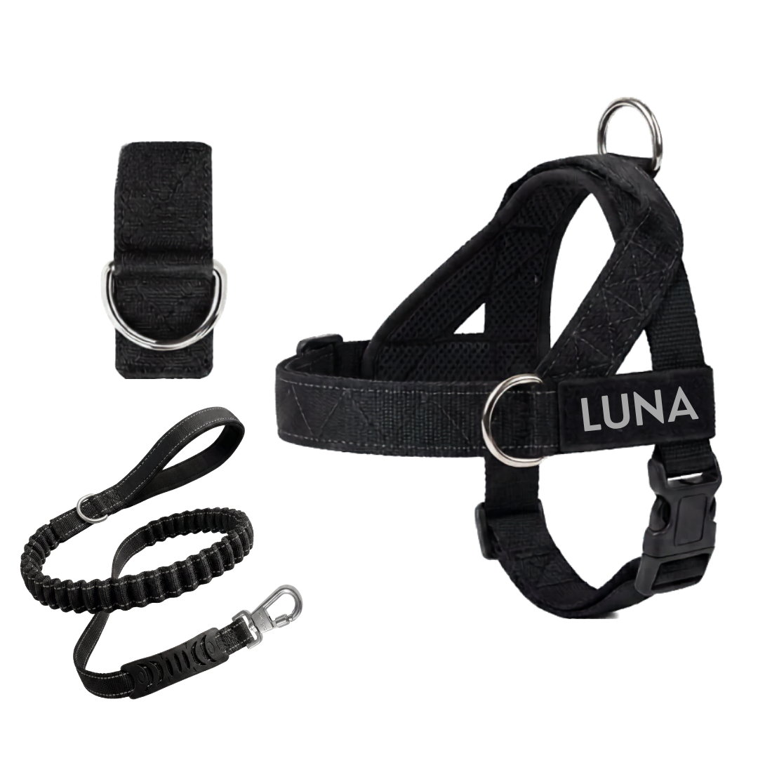 Arnés para Perro + Anilla en D GRATIS