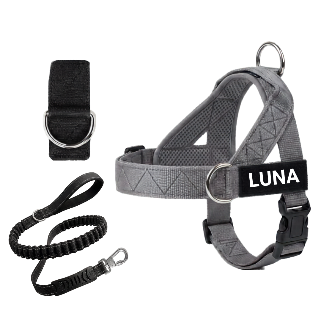 Arnés para Perro + Anilla en D GRATIS