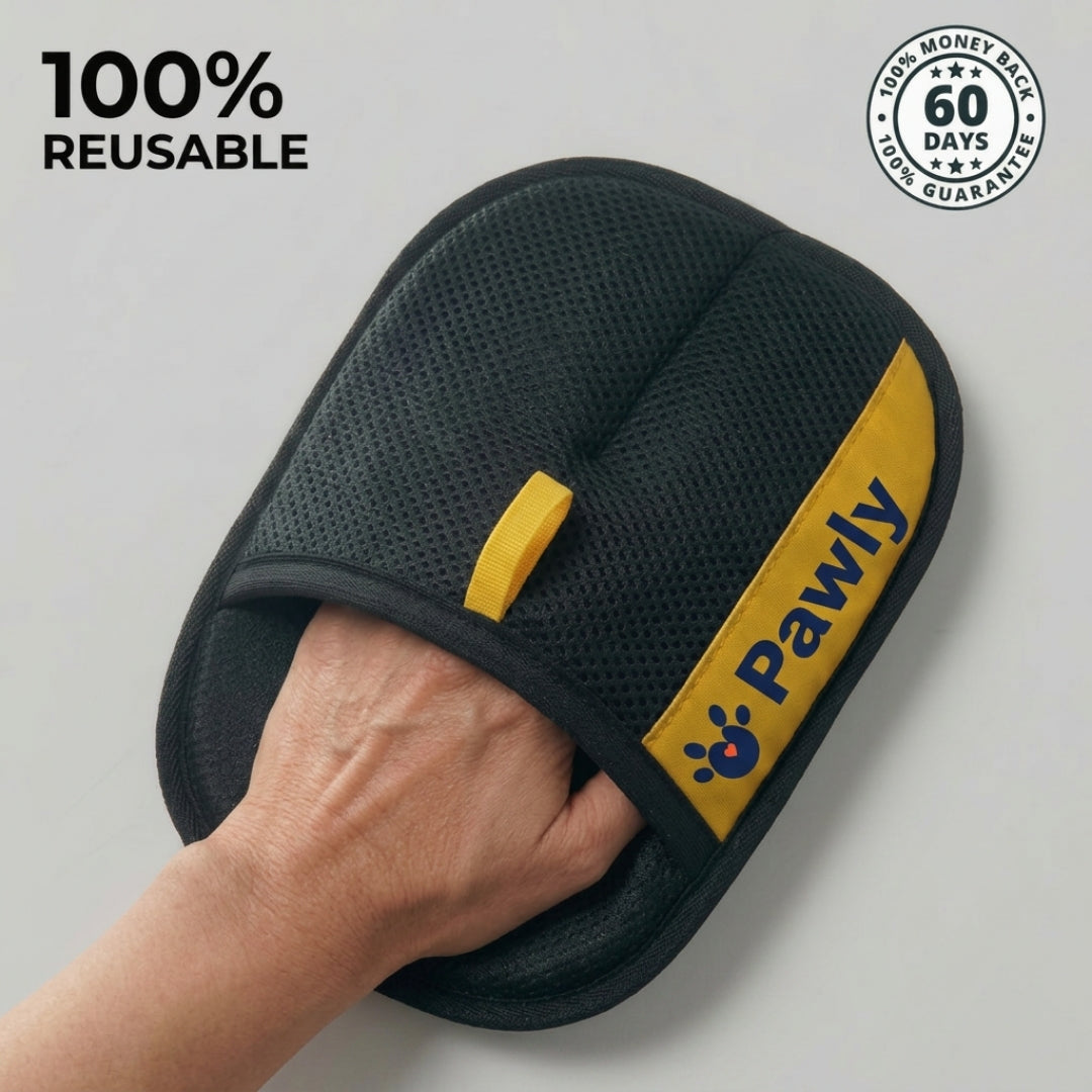 Guante Pawly™