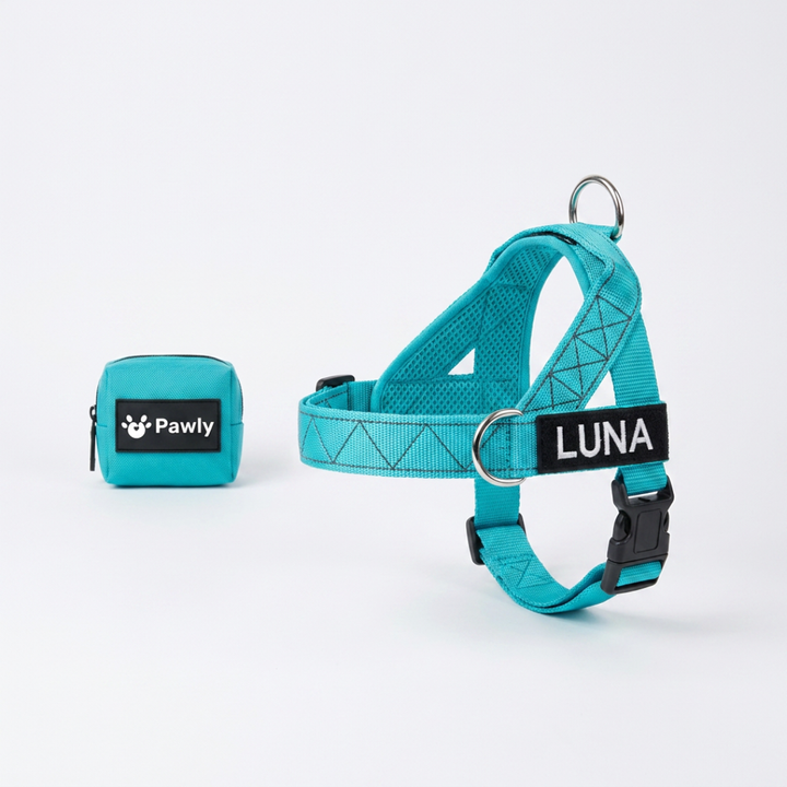 Arnés para Perro + Anilla en D GRATIS ANTIGUO