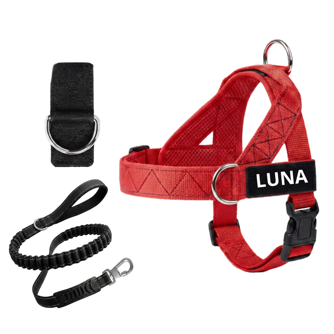 Arnés para Perro + Anilla en D GRATIS