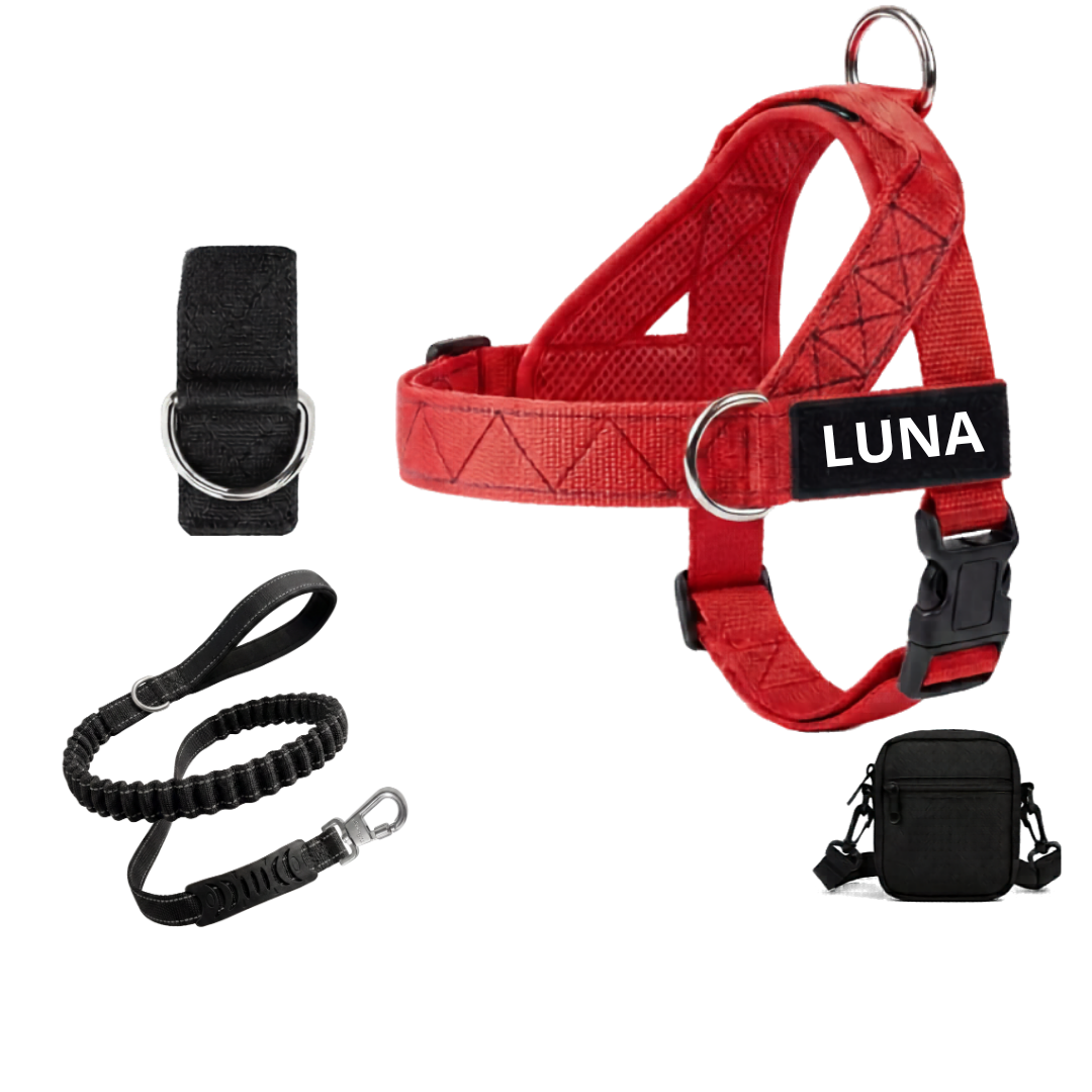 Arnés para Perro + Anilla en D GRATIS