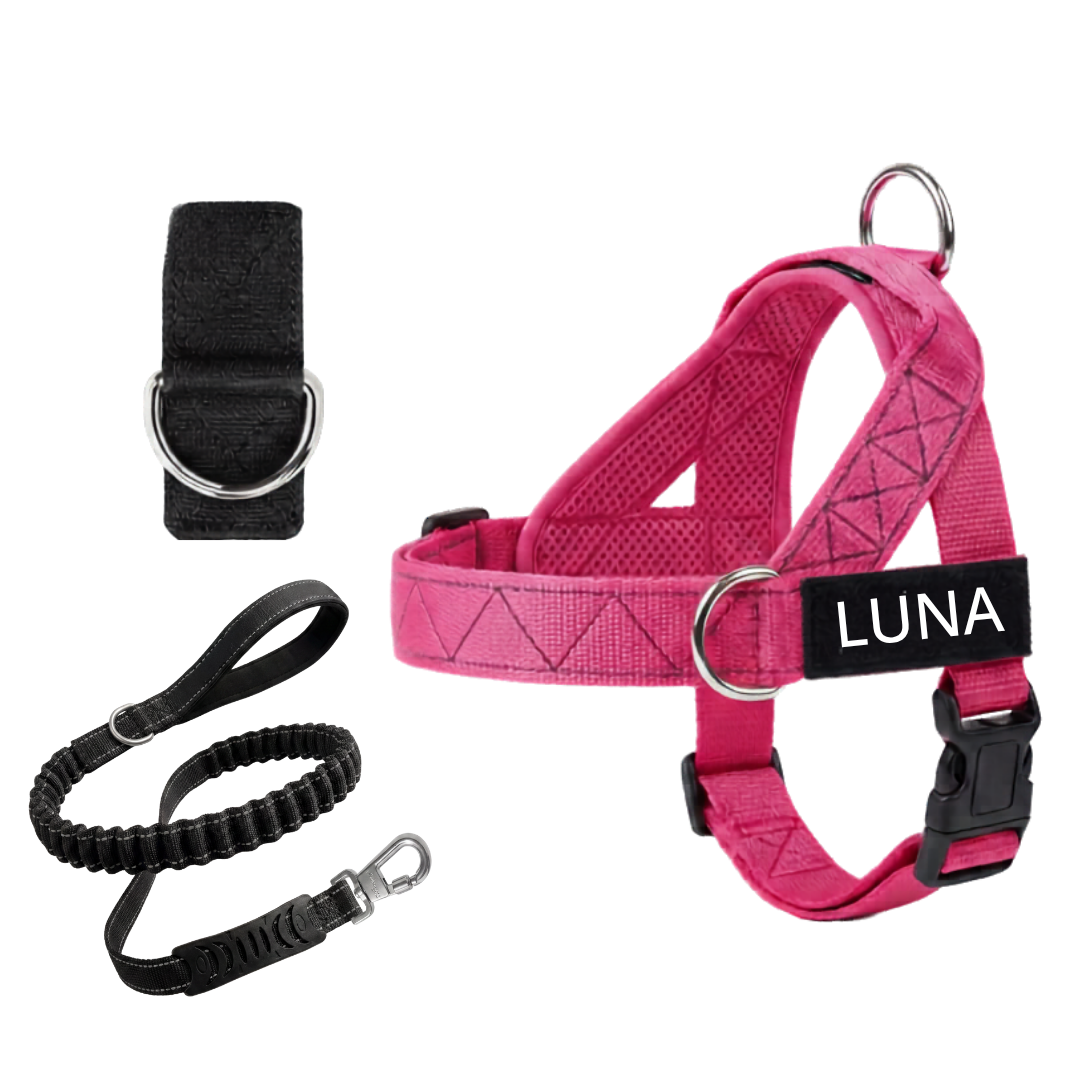 Arnés para Perro + Anilla en D GRATIS