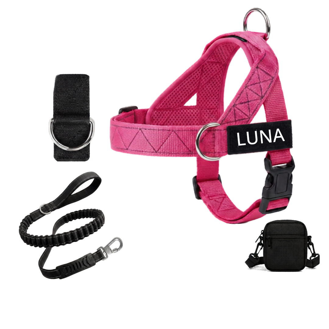 Arnés para Perro + Anilla en D GRATIS