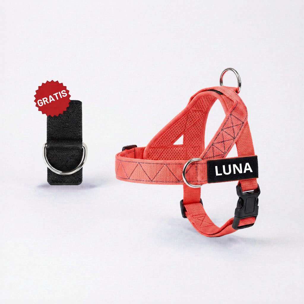 Arnés para Perro + Anilla en D GRATIS
