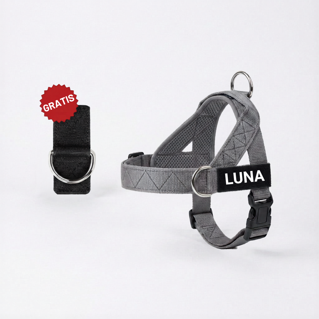 Arnés para Perro + Anilla en D GRATIS