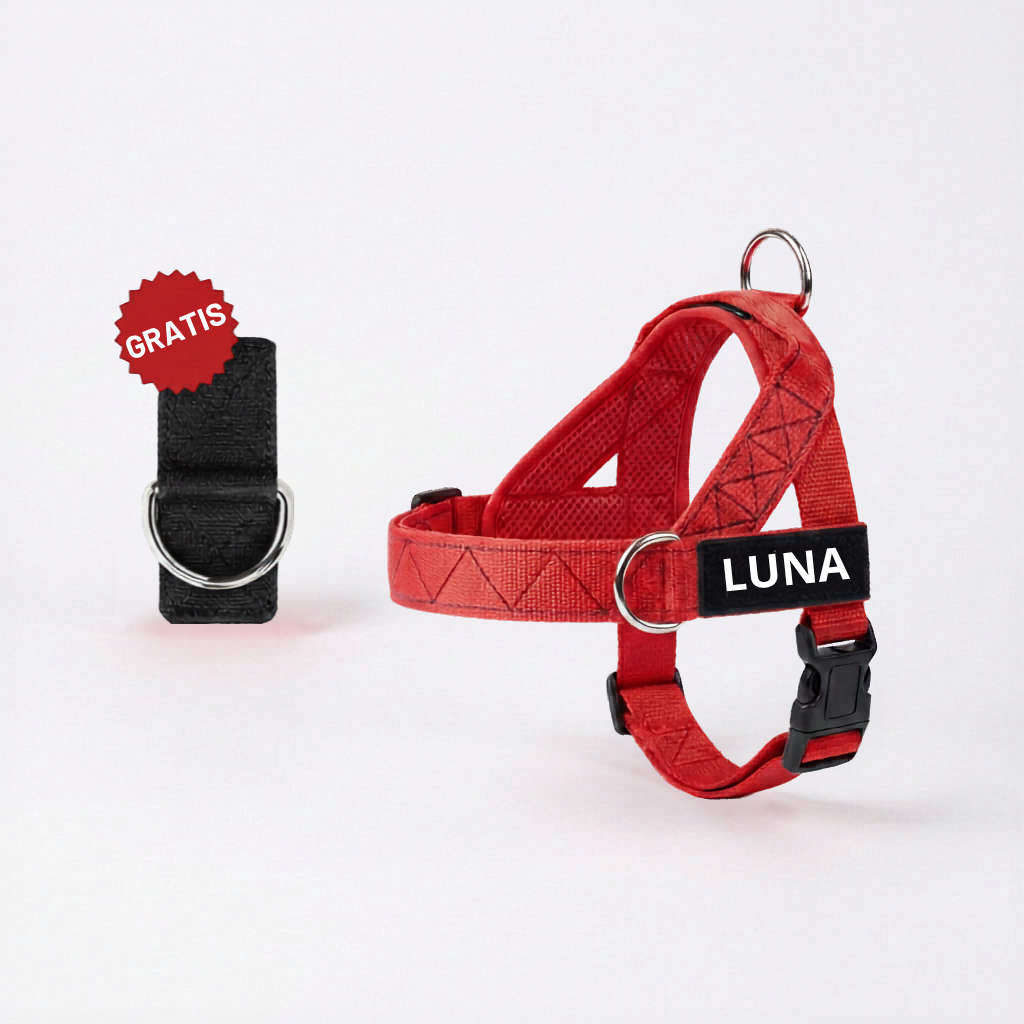 Arnés para Perro + Anilla en D GRATIS