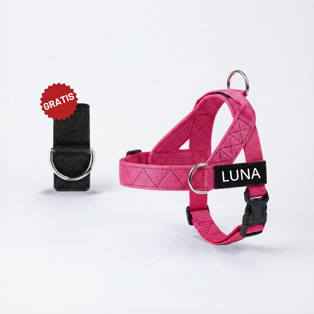 Arnés para Perro + Anilla en D GRATIS
