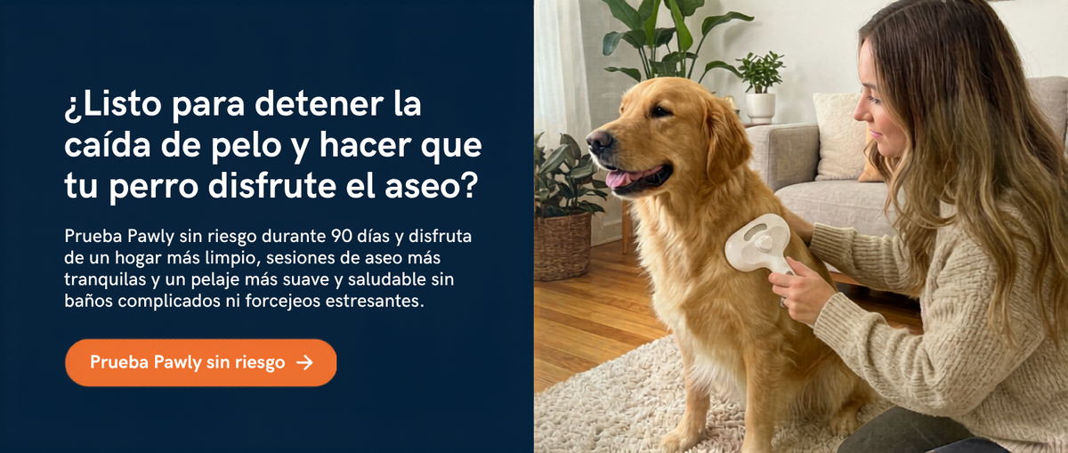 Garantía 90 días: si no te funciona, te devolvemos cada peso