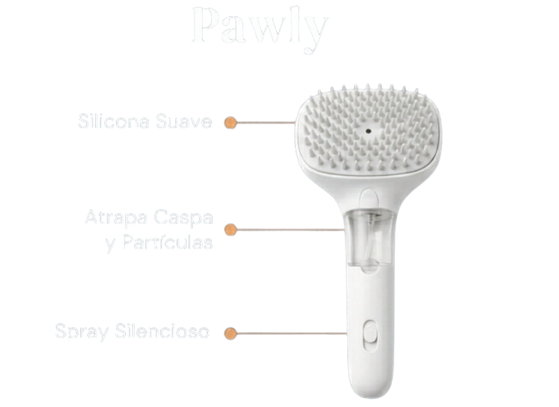 Pawly
